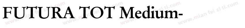 FUTURA TOT Medium字体转换